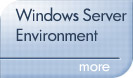 Typical Windows Server Environment for 15 Users : Details Here